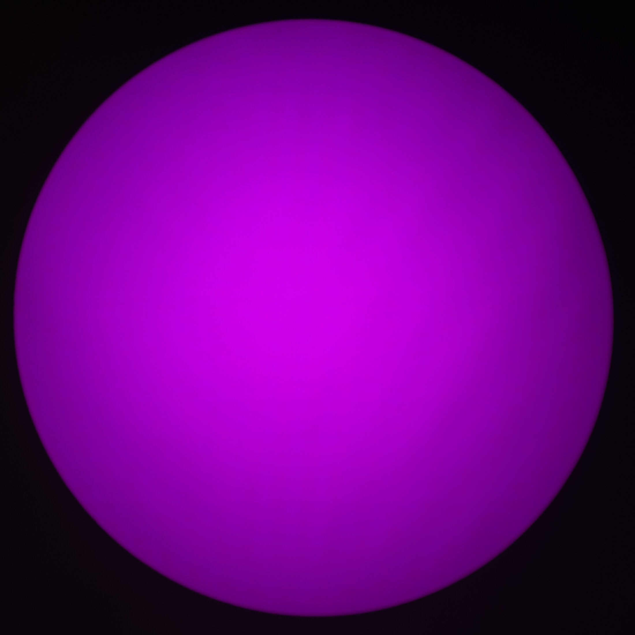 DSC 4106