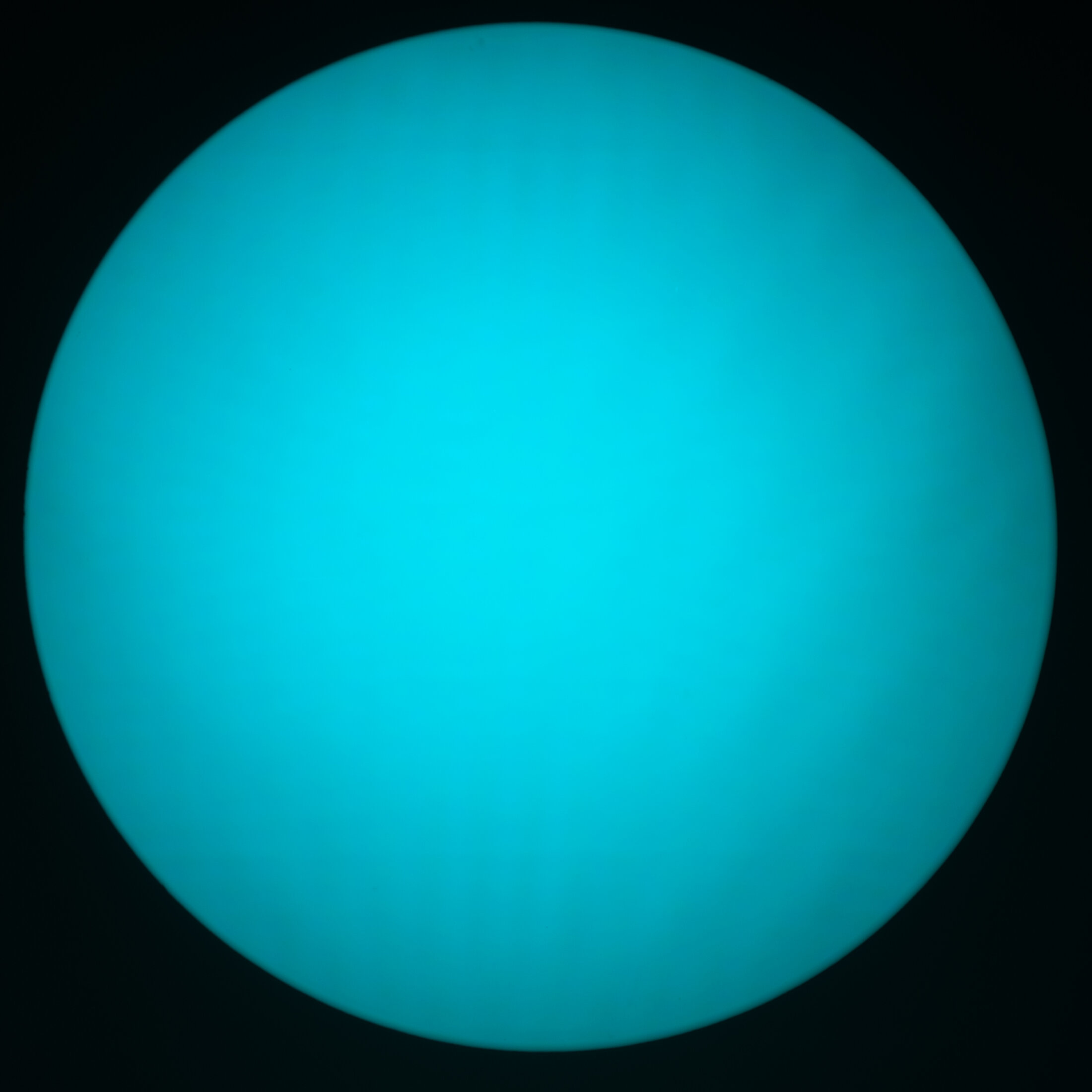 DSC 4114